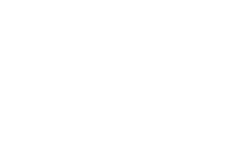Rising Damp Specialists White Logo